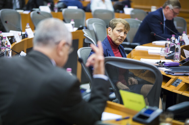 SEDE Committee - AFET/SEDE/D-US exchange of views on US National Security Strategy