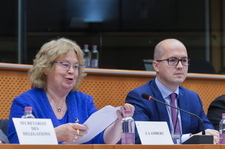 Foto 18: Meeting of the EP delegation for relations with the countries of South Asia with the Minister for Defence of Pakistan