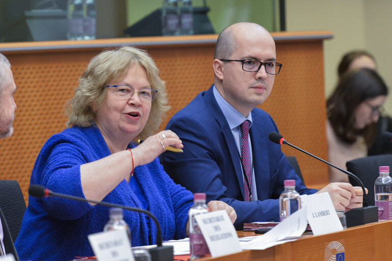 Foto 20: Meeting of the EP delegation for relations with the countries of South Asia with the Minister for Defence of Pakistan