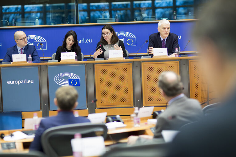 SEDE Committee - AFET/SEDE/D-US exchange of views on US National Security Strategy