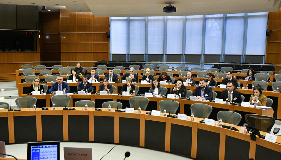 Foto 8: Meeting of the EP delegation for relations with Parliaments from the Western Balkans