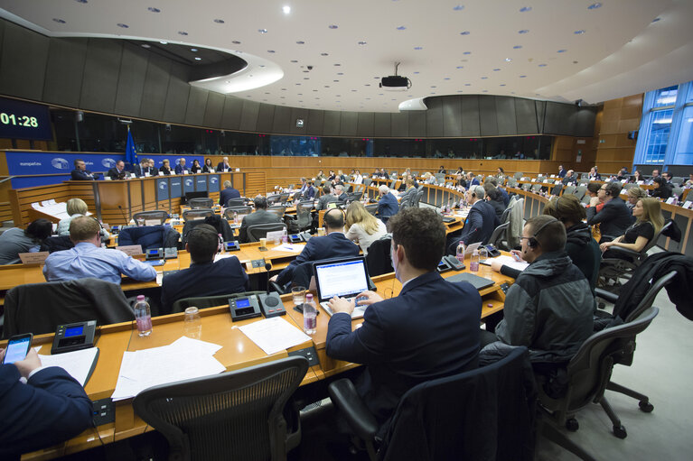 SEDE Committee - AFET/SEDE/D-US exchange of views on US National Security Strategy