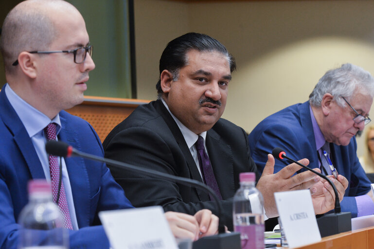 Foto 3: Meeting of the EP delegation for relations with the countries of South Asia with the Minister for Defence of Pakistan