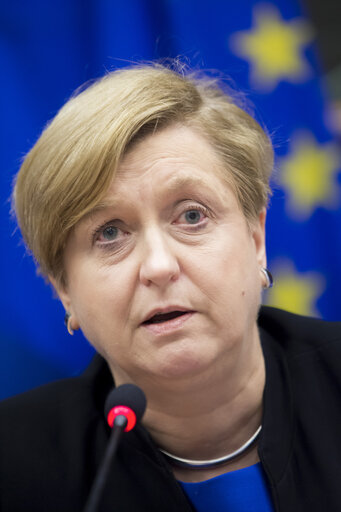 SEDE Committee - AFET/SEDE/D-US exchange of views on US National Security Strategy