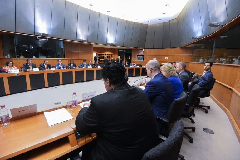 Foto 15: Meeting of the EP delegation for relations with the countries of South Asia with the Minister for Defence of Pakistan