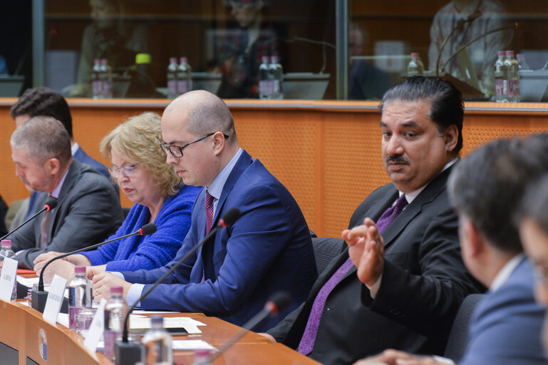 Foto 13: Meeting of the EP delegation for relations with the countries of South Asia with the Minister for Defence of Pakistan