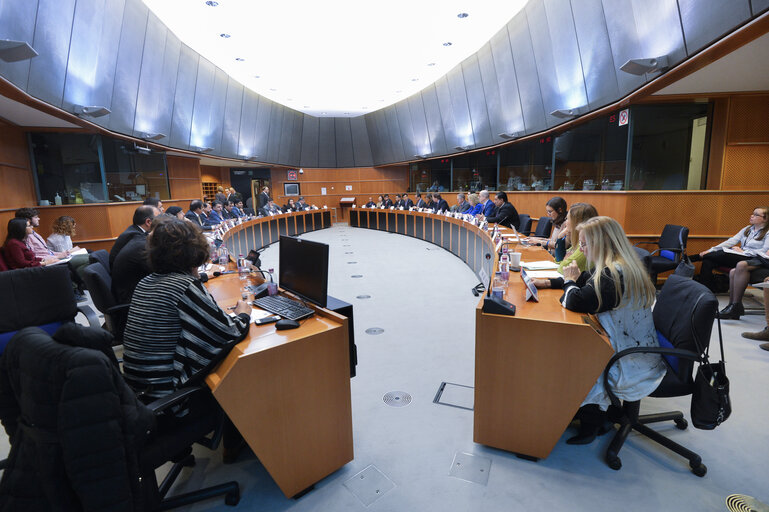 Foto 16: Meeting of the EP delegation for relations with the countries of South Asia with the Minister for Defence of Pakistan