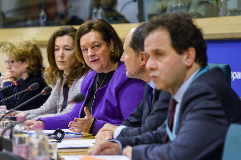 Fotografija 16: Special Committee on Terrorism - Exchange of views with Deputy Secretary General for Common Security and Defence Policy and Crisis Response at the European External Action Service