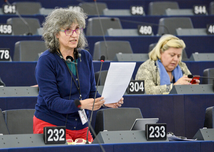 Photo 7 : Plenary session week 19 2016 in Strasbourg - Explanations of votes