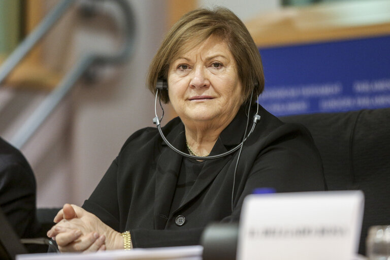 Снимка 18: ITRE Hearing:  Using NER 300 and the Energy Recovery Plan to renew the Energy Sector