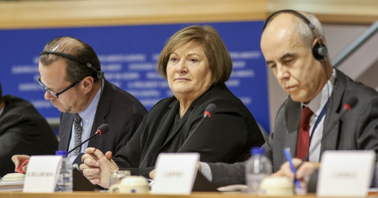 Снимка 5: ITRE Hearing:  Using NER 300 and the Energy Recovery Plan to renew the Energy Sector