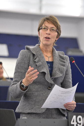 Fotogrāfija 24: Plenary Session Week 47 2013 in Strasbourg -