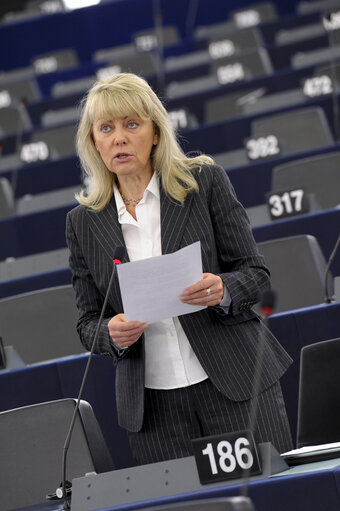 Fotografie 27: Plenary session week 50 2013 in Strasbourg - Joint debate - Justice