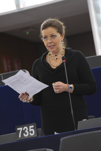 Fotografie 48: Plenary session week 50 2013 in Strasbourg - Joint debate - Justice