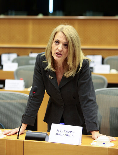 Fotografie 9: MEP Maria Eleni KOPPA in the European Parliament in Brussels