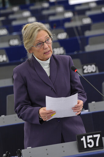 Plenary session week 50 2013 in Strasbourg - Civil protection mechanism