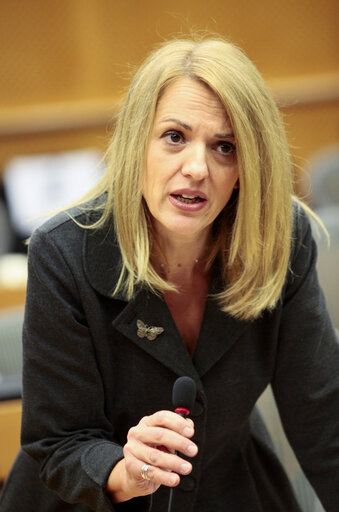 Fotografie 8: MEP Maria Eleni KOPPA in the European Parliament in Brussels