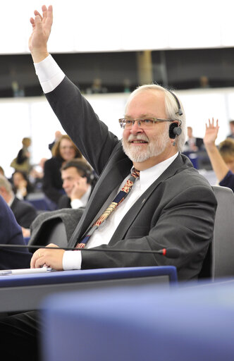 Снимка 23: plenary session week 50 2013 - vote