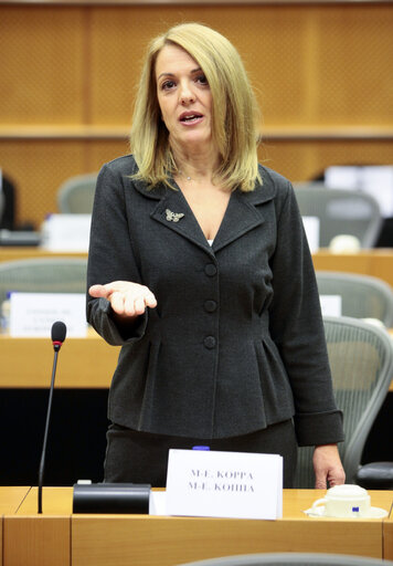 Fotografie 6: MEP Maria Eleni KOPPA in the European Parliament in Brussels