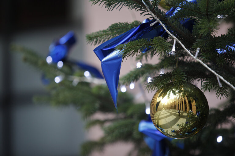 Christmas Tree in the LOW courtyard in Strasbourg