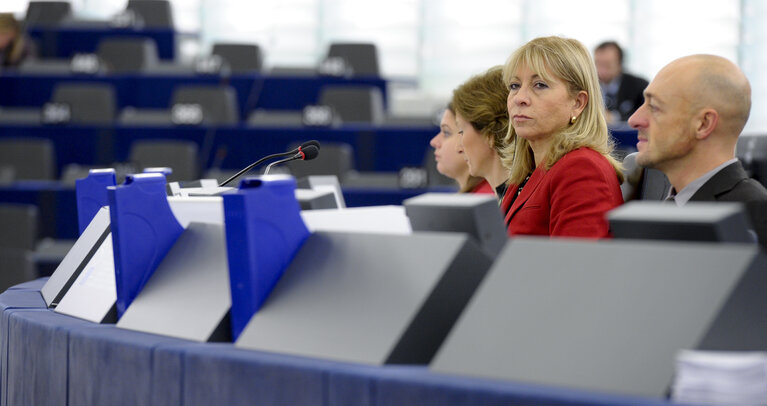 Fotografie 2: Plenary session week 50 2013 in Strasbourg - Civil protection mechanism