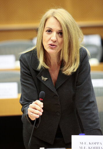 Fotografie 7: MEP Maria Eleni KOPPA in the European Parliament in Brussels