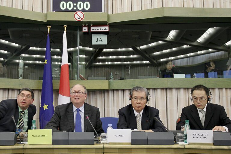 Fotografie 17: Preparatory meeting in view of the 35th EU-Japan Interparliamentary Meeting