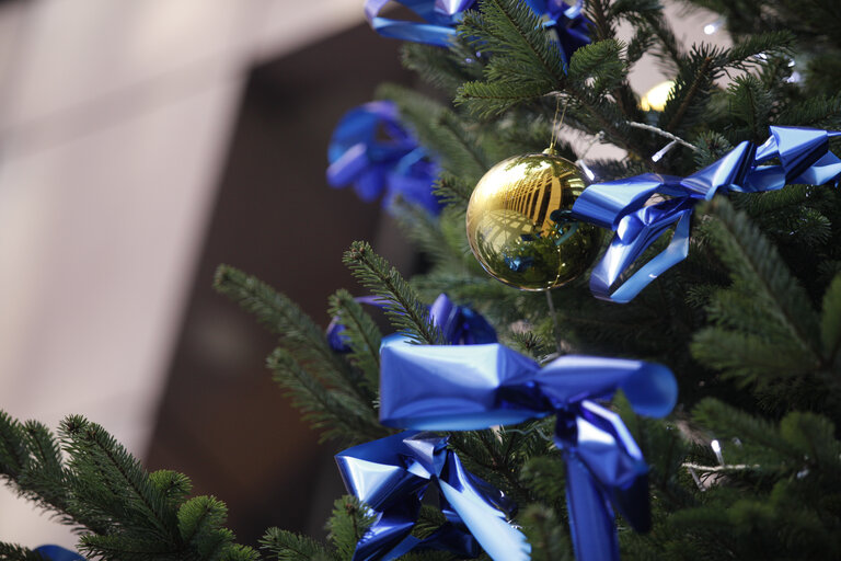 Christmas Tree in the LOW courtyard in Strasbourg