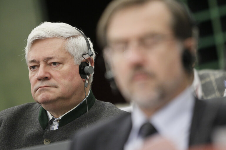 Fotografie 7: Preparatory meeting in view of the 35th EU-Japan Interparliamentary Meeting