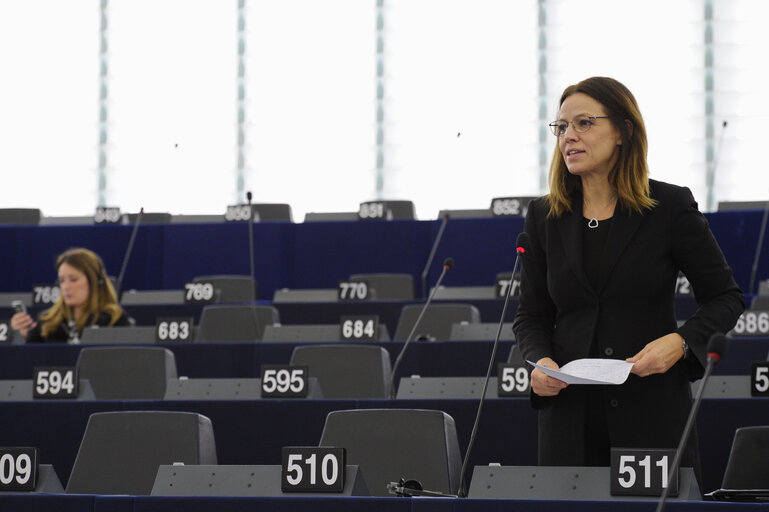 Fotografie 19: Plenary session week 50 2013 in Strasbourg - Civil protection mechanism