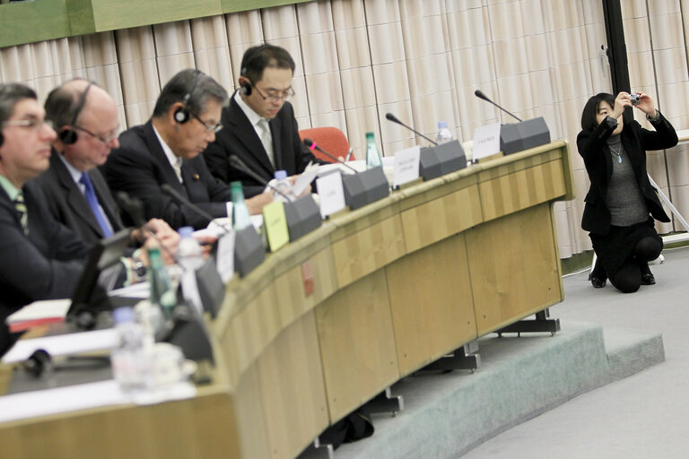 Fotografie 10: Preparatory meeting in view of the 35th EU-Japan Interparliamentary Meeting