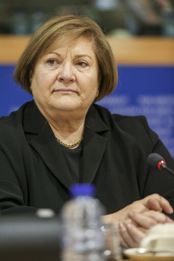 ITRE Hearing:  Using NER 300 and the Energy Recovery Plan to renew the Energy Sector