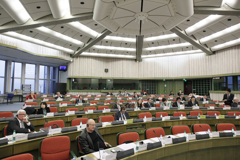 Fotagrafa 5: Preparatory meeting in view of the 35th EU-Japan Interparliamentary Meeting