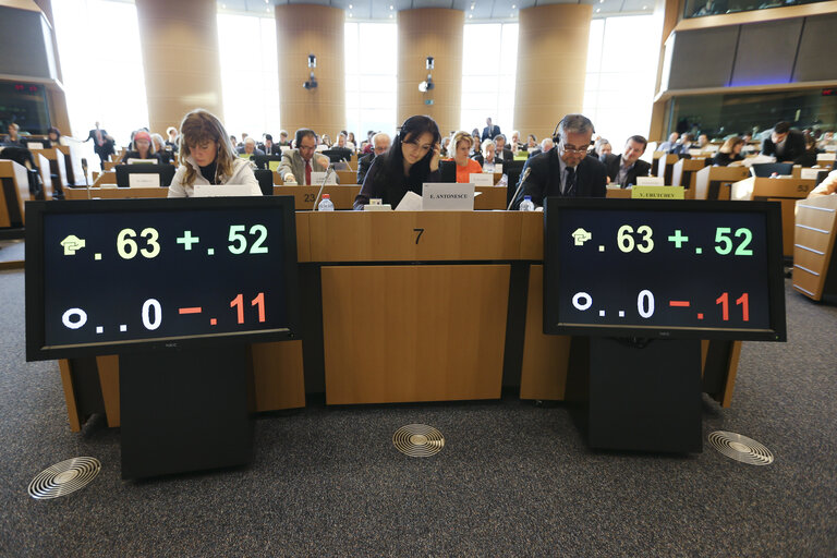 Fotografija 7: ENVI Committee meeting:  Sound level of motor vehicles