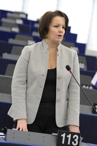 Fotografie 36: Plenary session week 50 2013 in Strasbourg - Joint debate - Justice