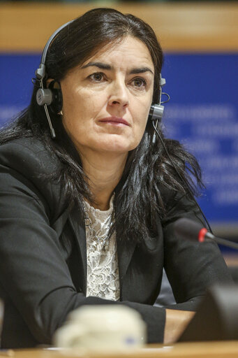 Снимка 10: ITRE Hearing:  Using NER 300 and the Energy Recovery Plan to renew the Energy Sector