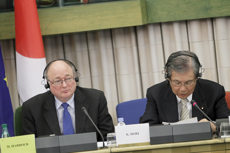 Fotografie 11: Preparatory meeting in view of the 35th EU-Japan Interparliamentary Meeting