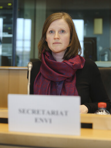 Fotografija 1: ENVI Committee meeting:  Sound level of motor vehicles