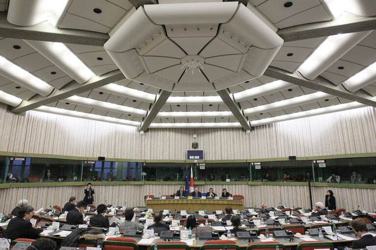 Fotografie 4: Preparatory meeting in view of the 35th EU-Japan Interparliamentary Meeting