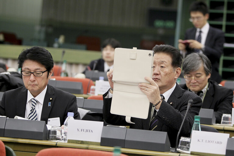 Fotografie 8: Preparatory meeting in view of the 35th EU-Japan Interparliamentary Meeting