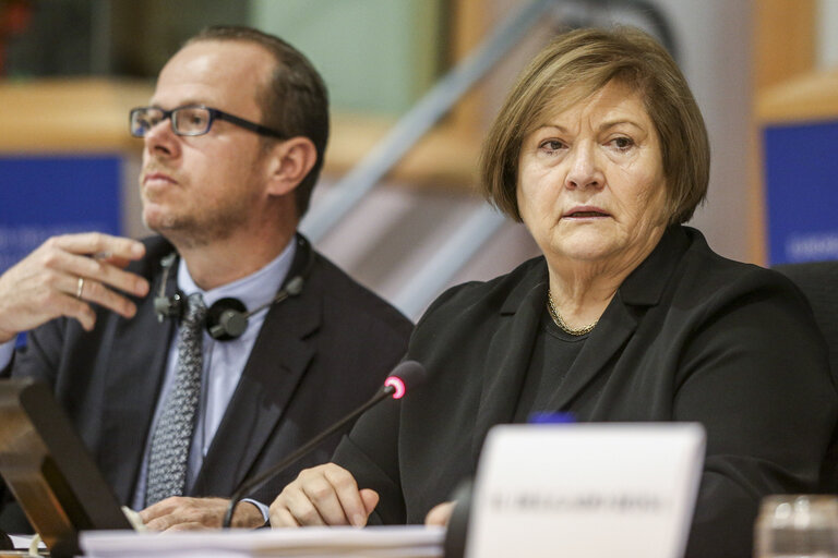 Снимка 11: ITRE Hearing:  Using NER 300 and the Energy Recovery Plan to renew the Energy Sector