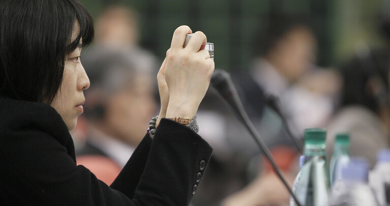 Fotografie 12: Preparatory meeting in view of the 35th EU-Japan Interparliamentary Meeting