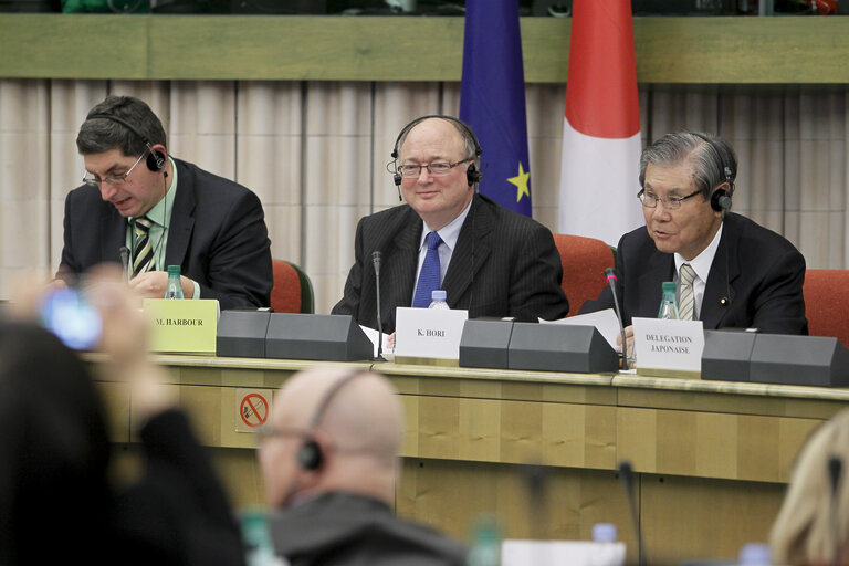 Fotografie 13: Preparatory meeting in view of the 35th EU-Japan Interparliamentary Meeting