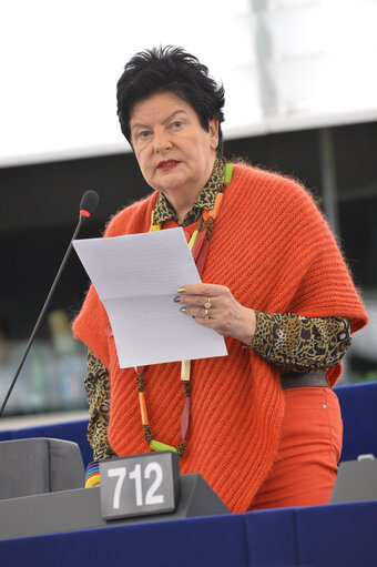 Fotogrāfija 29: Plenary Session Week 47 2013 in Strasbourg -