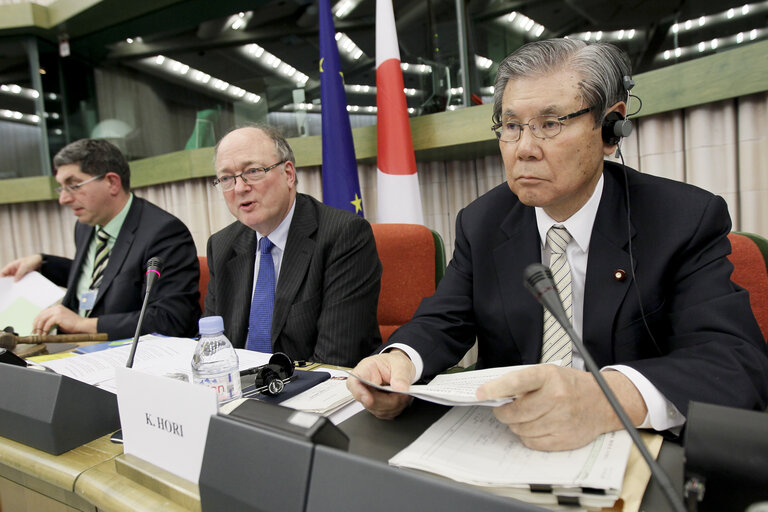 Fotografie 16: Preparatory meeting in view of the 35th EU-Japan Interparliamentary Meeting