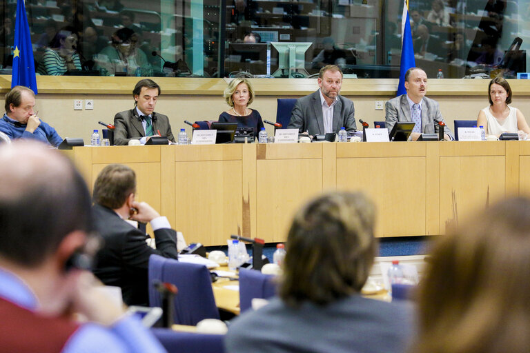 Photo 13: Exchange of views with EP Secretary General