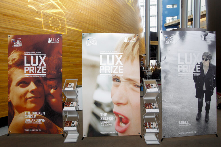 Nuotrauka 1: Illustration LUX Prize 2013