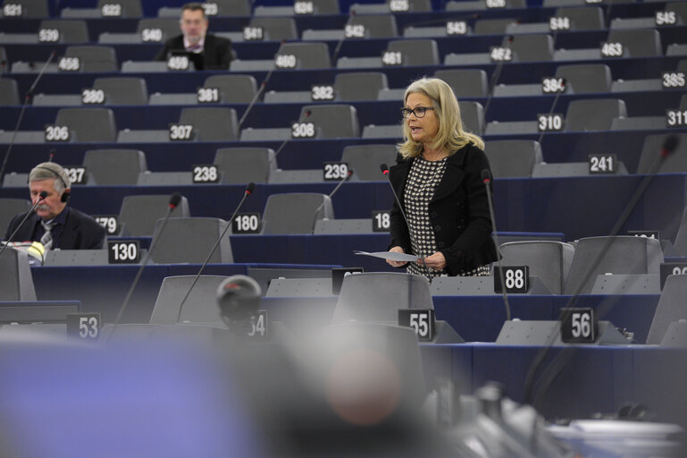 Fotografie 11: Plenary session week 50 2013 in Strasbourg - Civil protection mechanism