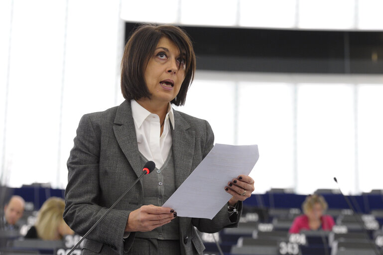 Fotografie 35: Plenary session week 50 2013 in Strasbourg - Joint debate - Justice