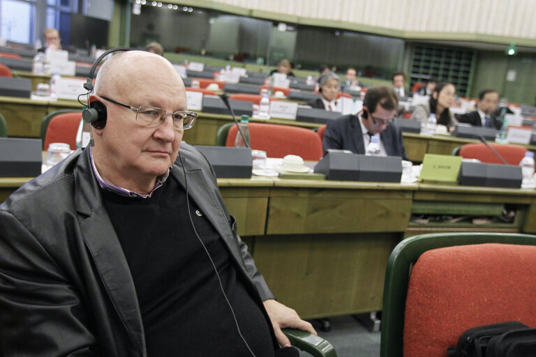 Fotografie 6: Preparatory meeting in view of the 35th EU-Japan Interparliamentary Meeting